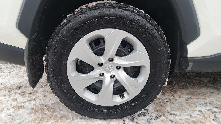 2024 Toyota RAV4 LE-29