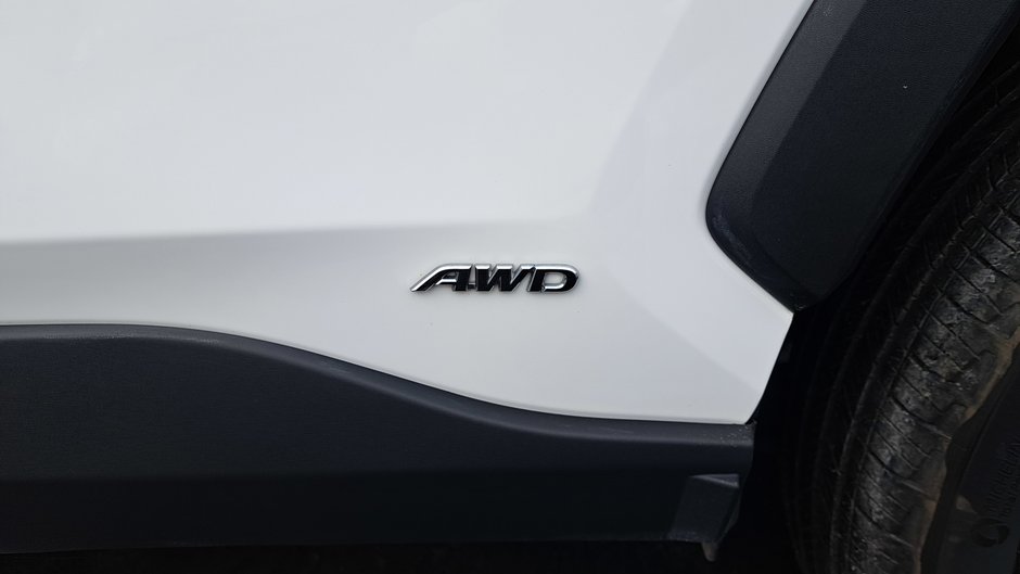 Toyota RAV4 Hybrid LE 2024-33