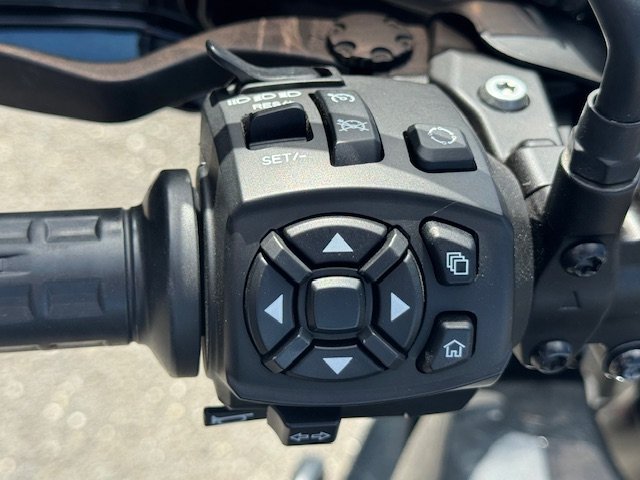 2021 HARLEY DAVIDSON RA1250 PAN AMERICA-18