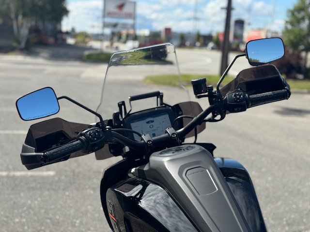 2021 HARLEY DAVIDSON RA1250 PAN AMERICA-17