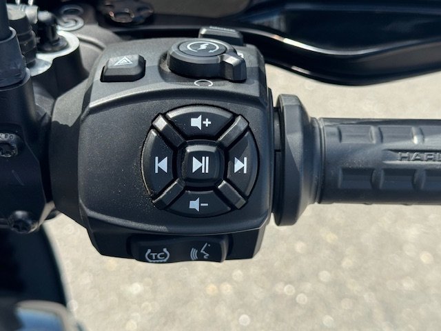 2021 HARLEY DAVIDSON RA1250 PAN AMERICA-19