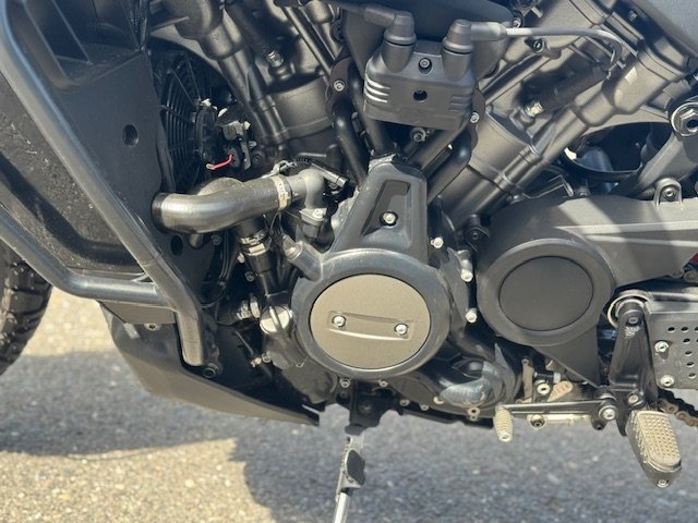 2021 HARLEY DAVIDSON RA1250 PAN AMERICA-21