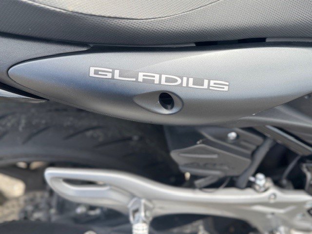 2014 Suzuki SV6550 GLADIUS-14