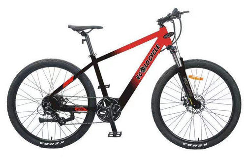 VÉLOS ÉLECTRIQUES ECOLO CYCLE FLASH 2021-2