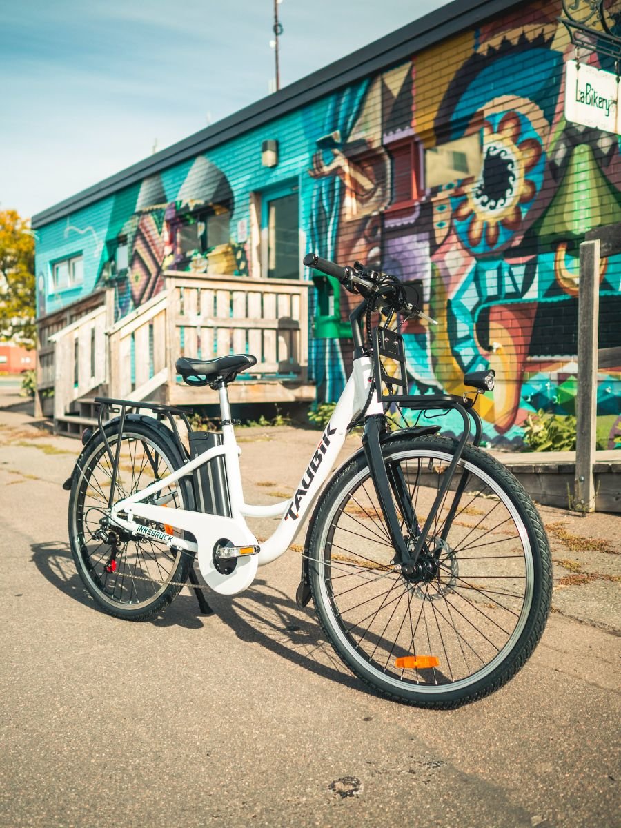 VÉLOS ÉLECTRIQUES TAUBIK INNBRUCK 2023-10