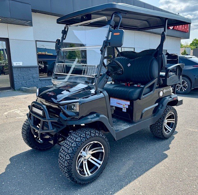 VOITURETTE DE GOLF MODÈLE: ADVENTURE 22 PLUS 100% ÉLECTRIQUE.  BATTERIE AU LITHIUM !!! 2025-7