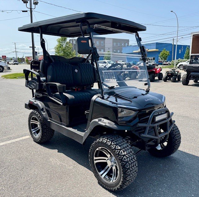 VOITURETTE DE GOLF MODÈLE: ADVENTURE 22 PLUS 100% ÉLECTRIQUE.  BATTERIE AU LITHIUM !!! 2025-5