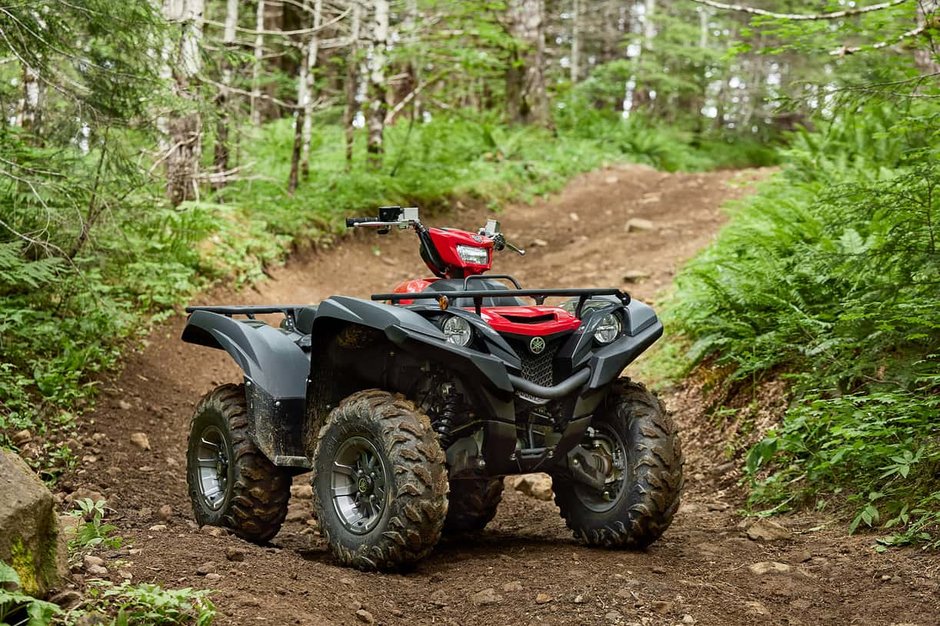2025 Yamaha Grizzly 700 DAE-3