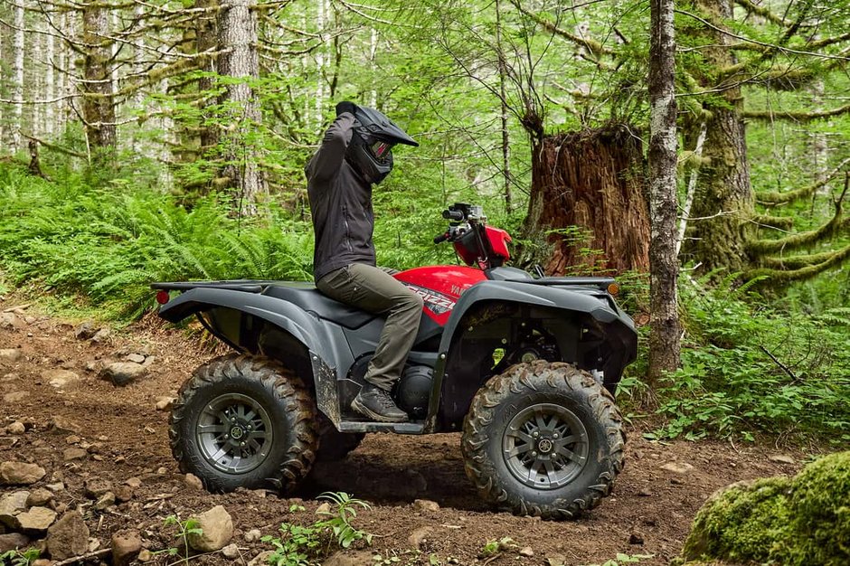2025 Yamaha Grizzly 700 DAE-1