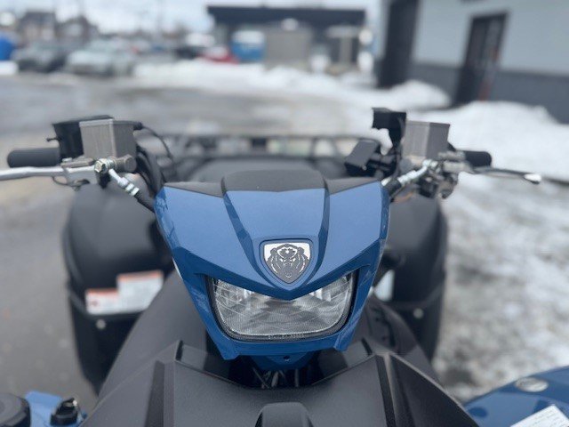 Yamaha GRIZZLY 700 EPS SE BLEU 2025-17