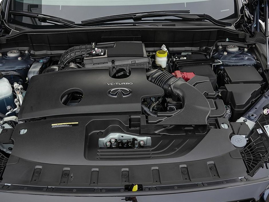 2025 Infiniti QX50 SPORT-5