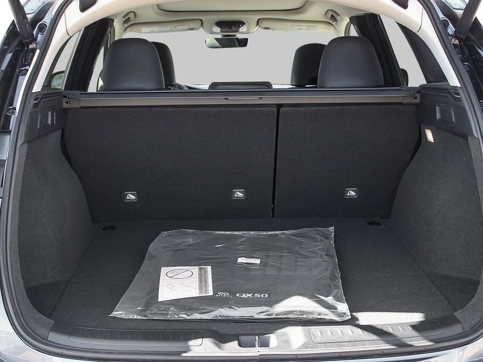 2025 Infiniti QX50 PURE-6