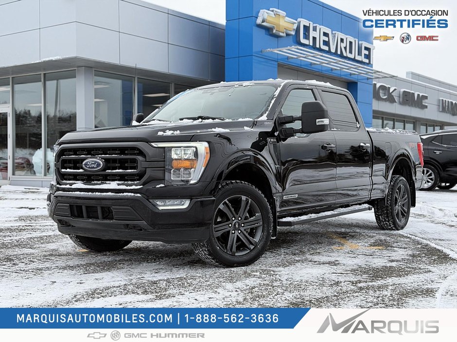 Ford F-150  2023 à Matane, Québec - w940px