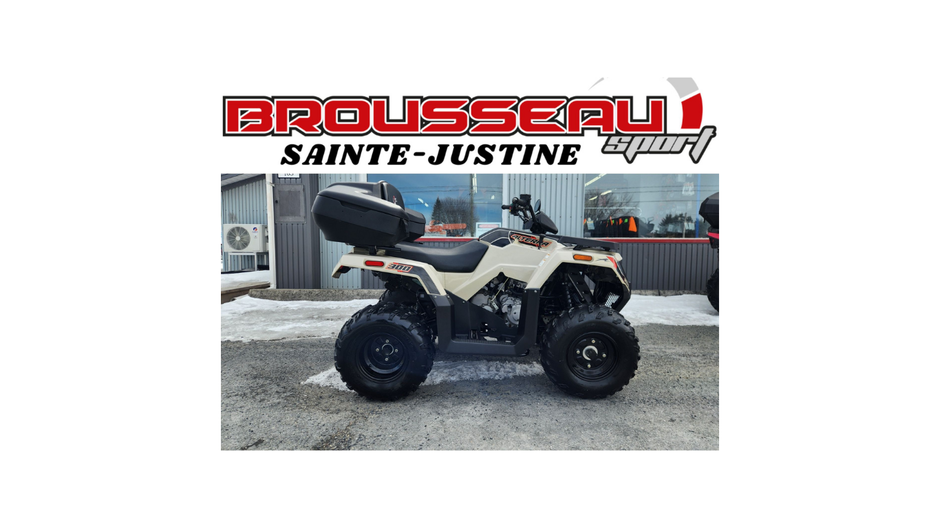 Arctic Cat ALTERRA 300 2x4 2022