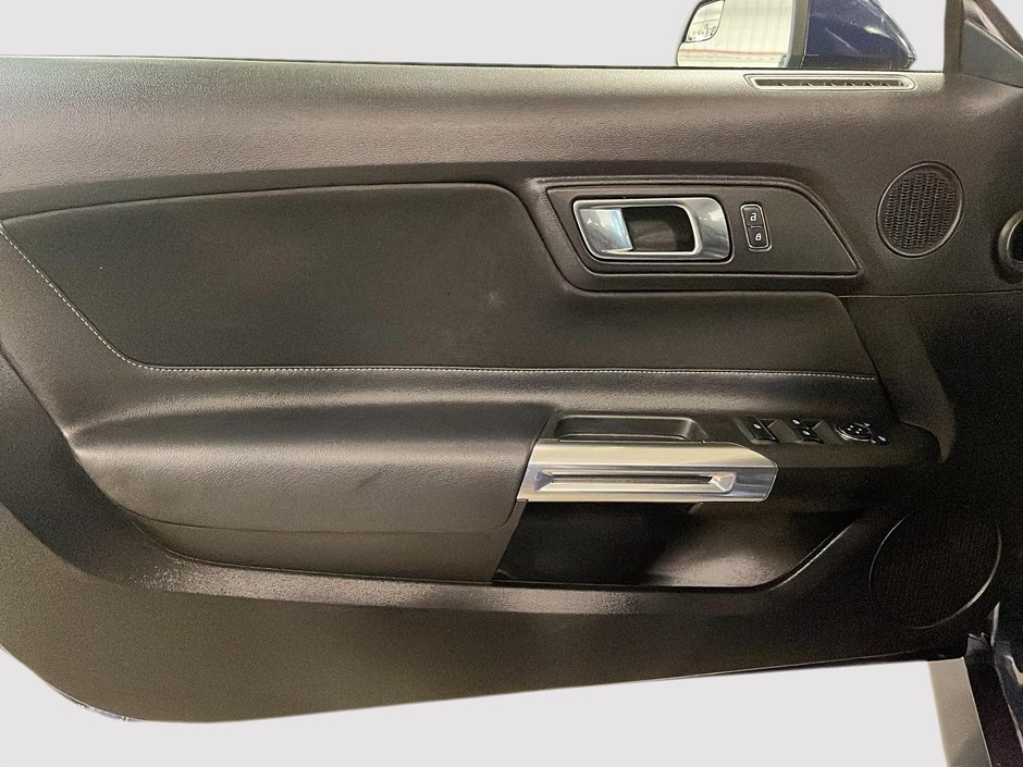 Ford Mustang Convertible 2019-13