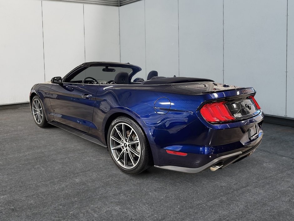 Ford Mustang Convertible 2019-2