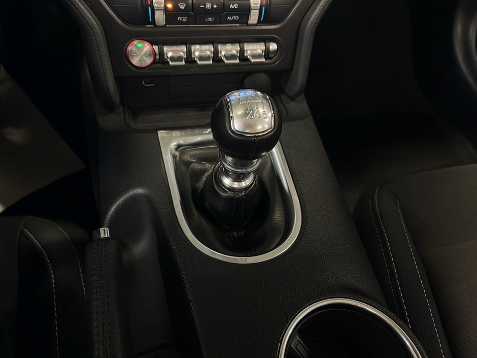 Ford Mustang Convertible 2019-17