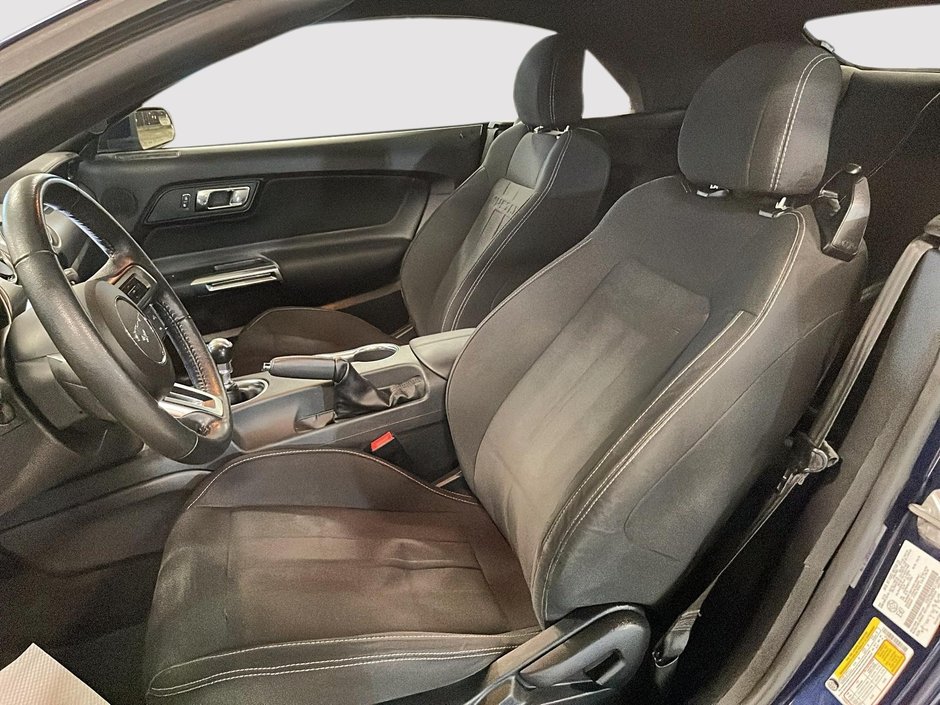 Ford Mustang Convertible 2019-11