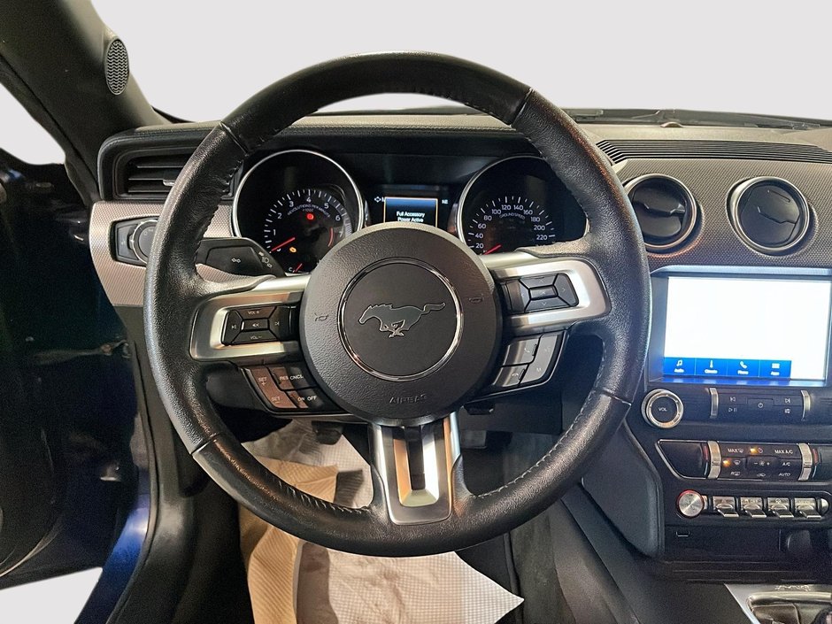 Ford Mustang Convertible 2019-14