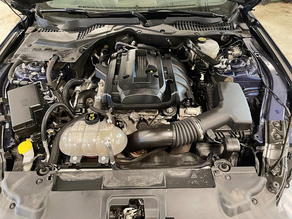 Ford Mustang Convertible 2019-10