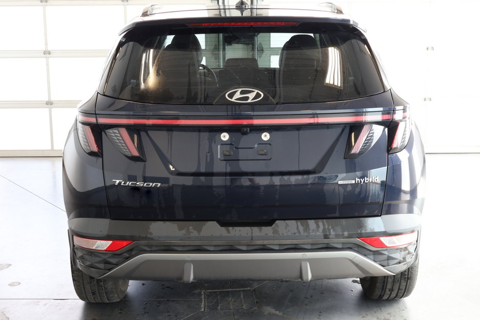 Hyundai Tucson Hybrid LUXURY HYBRID AWD 2022-5