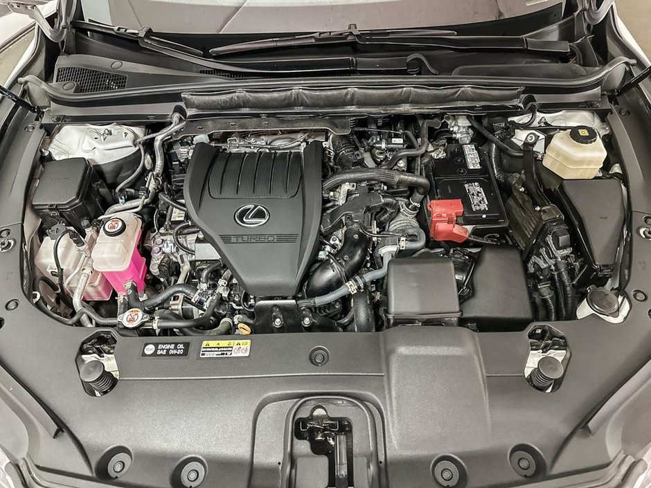2024 Lexus RX 350