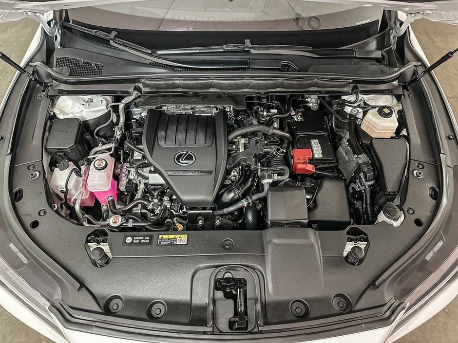 2024 Lexus RX 350