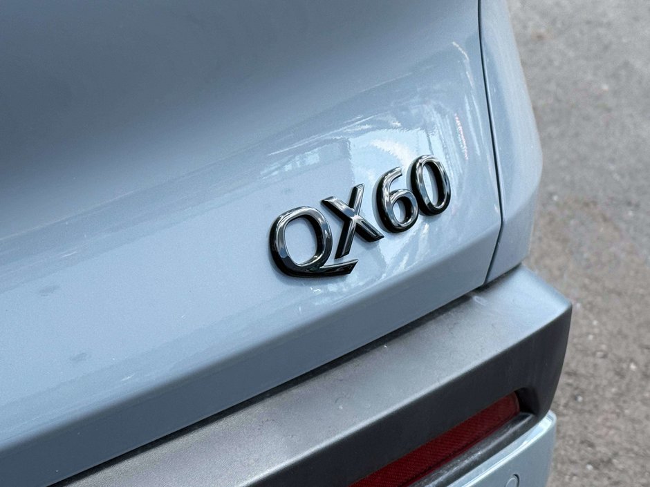 2025 Infiniti QX60 LUXE-12