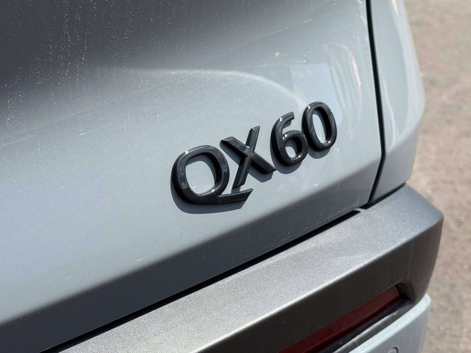 2025 Infiniti QX60 LUXE-12