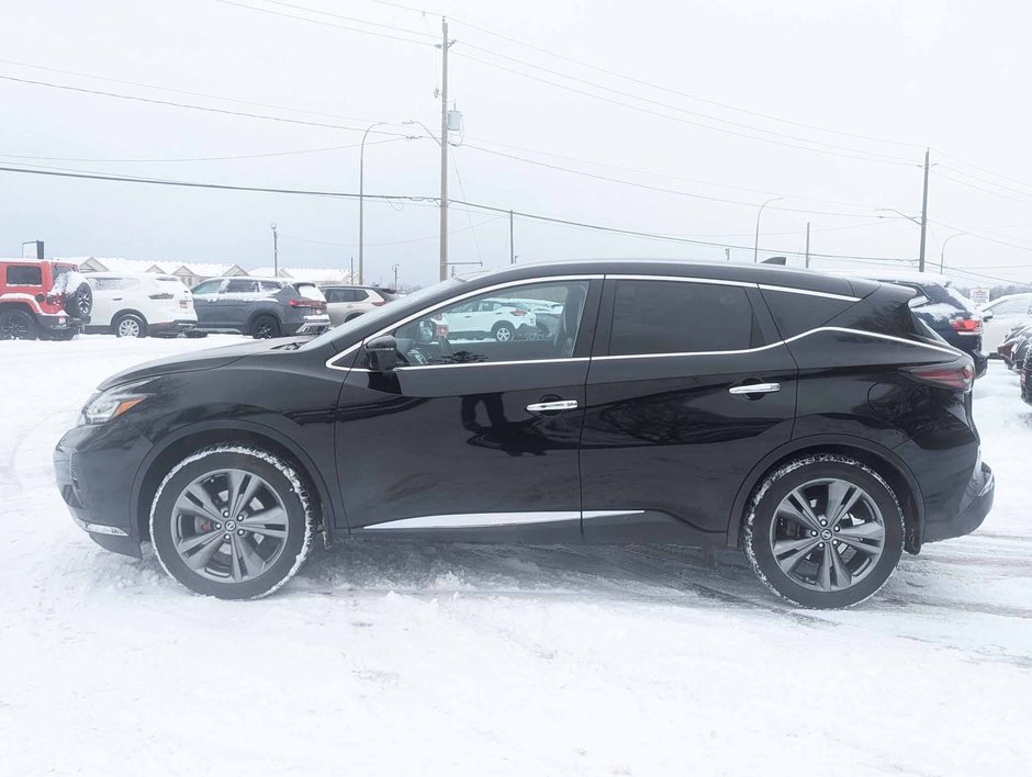 2019 Nissan Murano Platinum-4