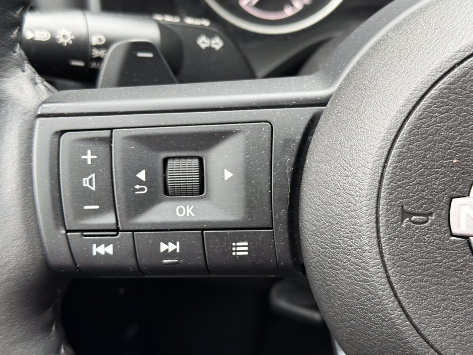 2024 Nissan Rogue SV Moonroof-24