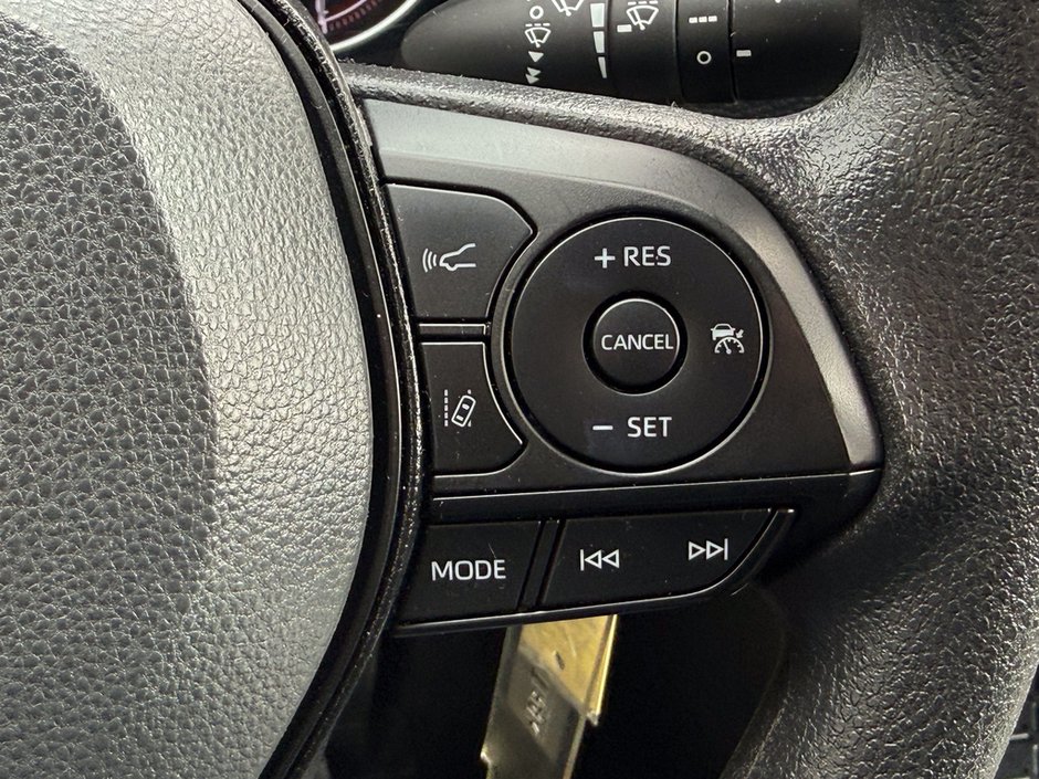 2025 Toyota RAV4 LE-24