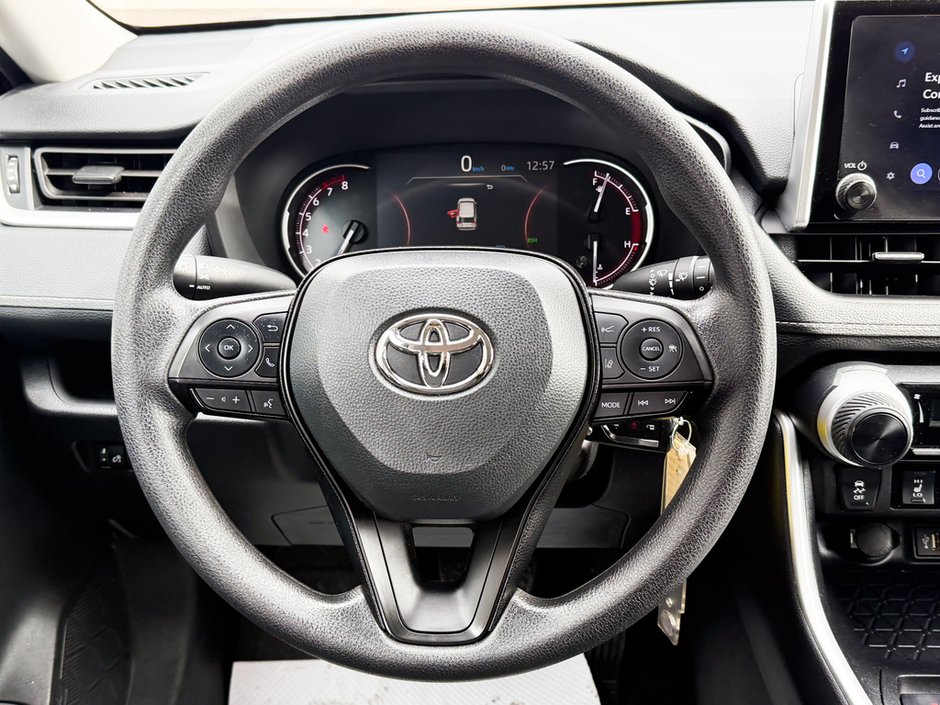 2025 Toyota RAV4 LE-17