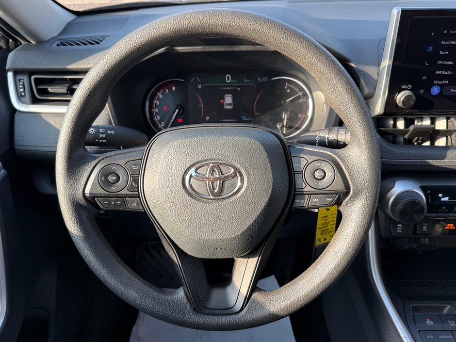 2025 Toyota RAV4 LE-16