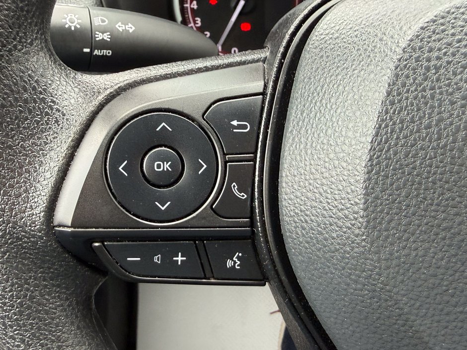 2025 Toyota RAV4 LE-23
