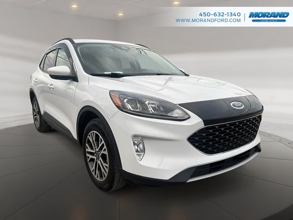 Ford Escape SEL 2020 à Sainte-Catherine, Québec