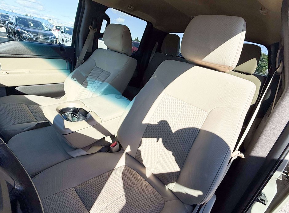 2010 Ford F-150-17