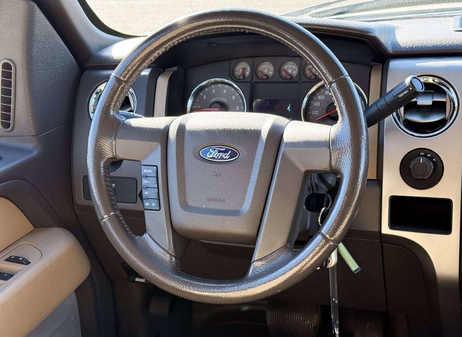 2010 Ford F-150-13