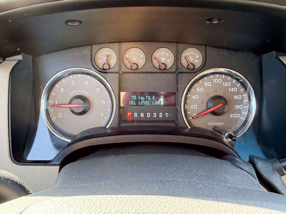 2010 Ford F-150-18