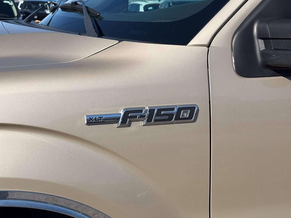 2010 Ford F-150-8