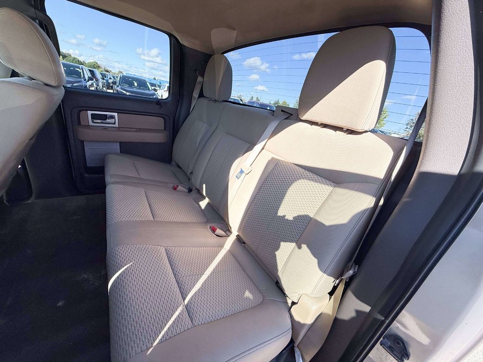 2010 Ford F-150-11