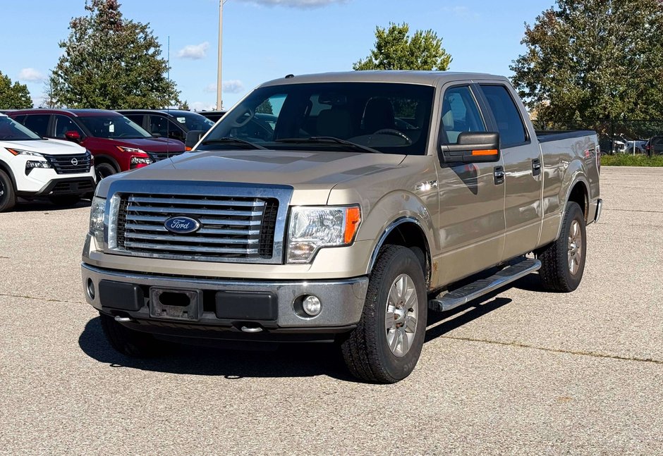 2010 Ford F-150-3