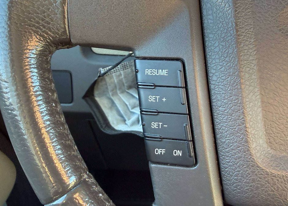 2010 Ford F-150-19