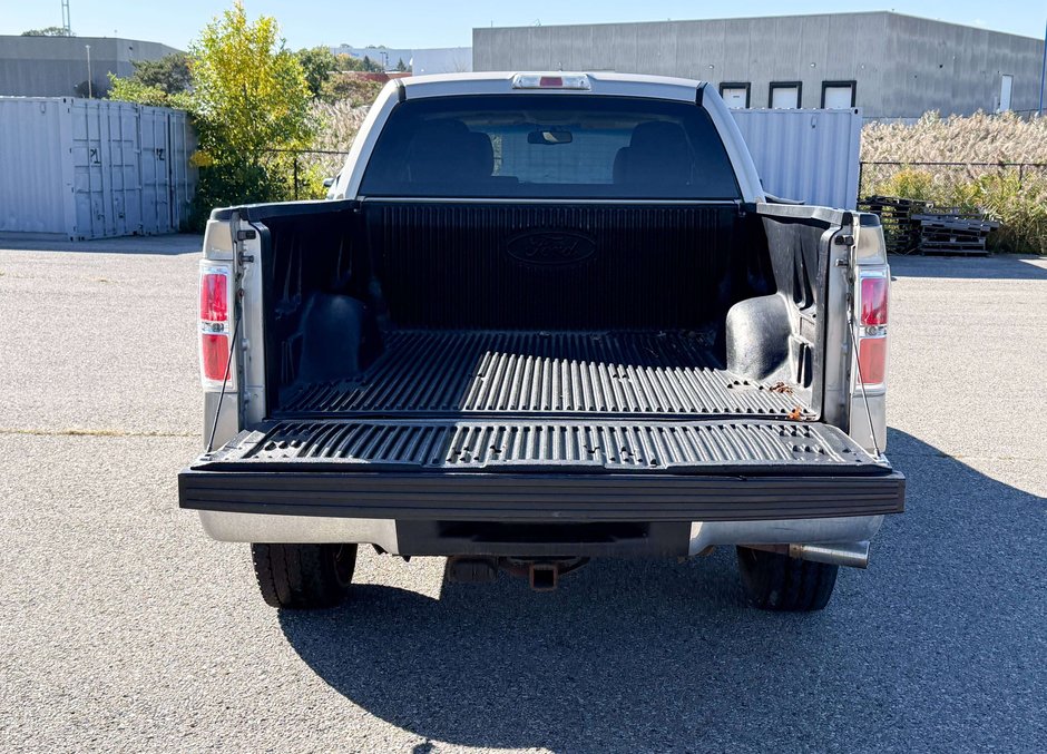 2010 Ford F-150-10