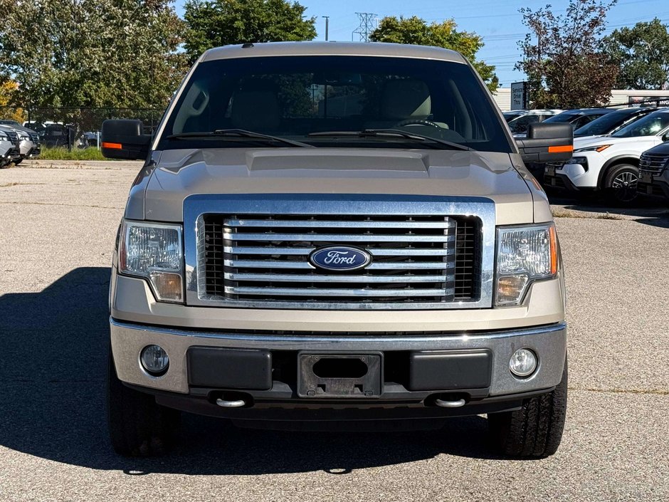 2010 Ford F-150-2