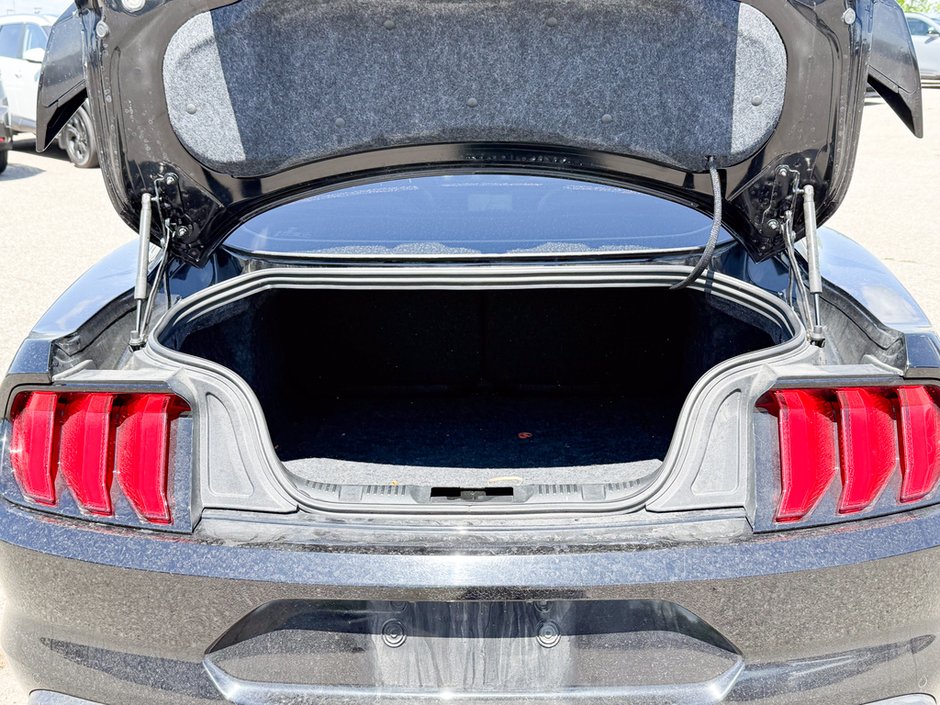 2018 Ford Mustang GT Premium-12