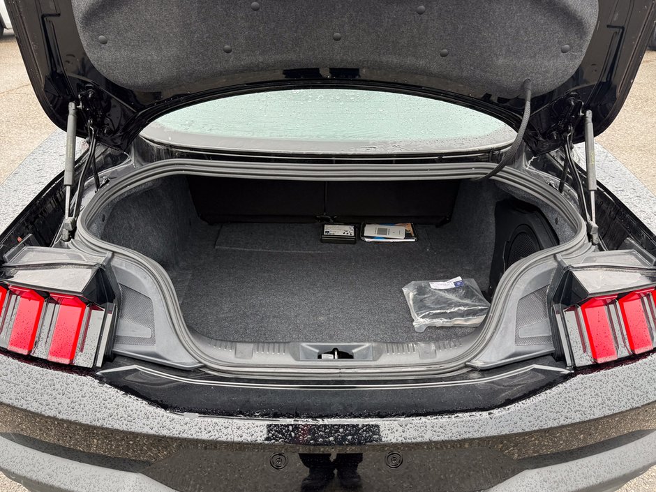 2024 Ford Mustang GT Premium-13