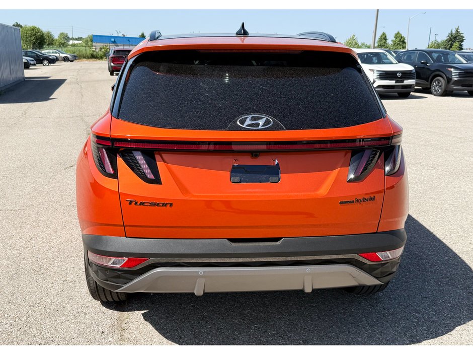 2024 Hyundai Tucson Hybrid Luxury-6