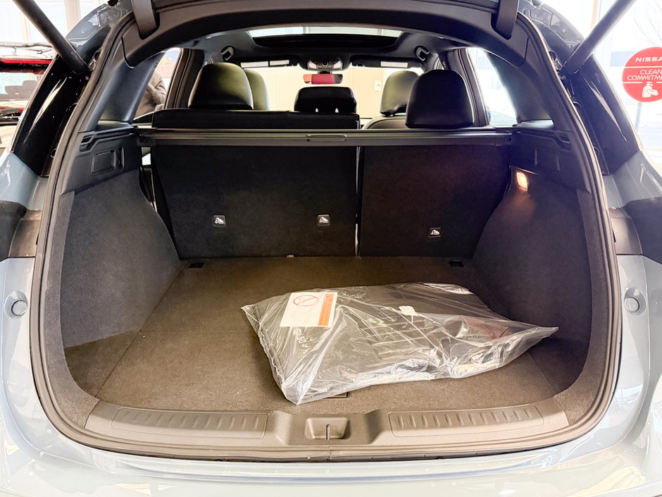 2025 Infiniti QX50 SPORT-10