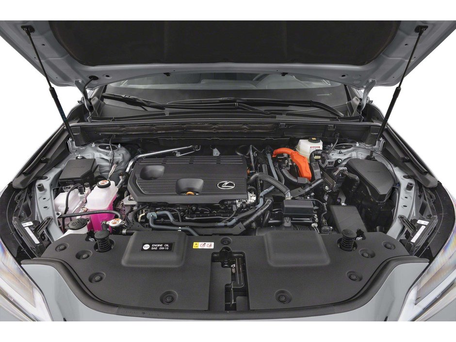 2024 Lexus NX 350h Base-6